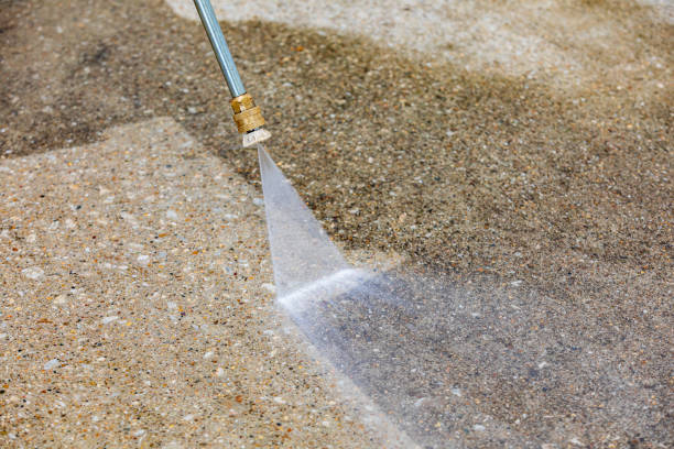 Best Patio and Deck Pressure Washing  in Loris, SC